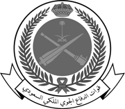 Saudi Air Defense Forces